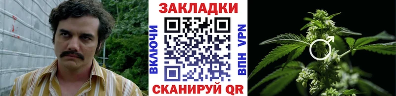 Цена Цимлянск МАРИХУАНА  Галлюциногенные грибы  ГАШИШ  Меф мяу мяу  КОКАИН 
