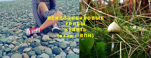 шишки Армянск