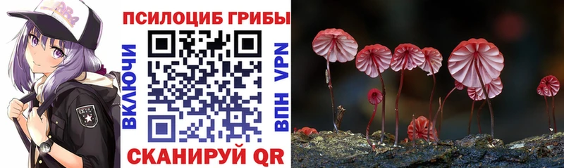 Галлюциногенные грибы мицелий цены Цимлянск
